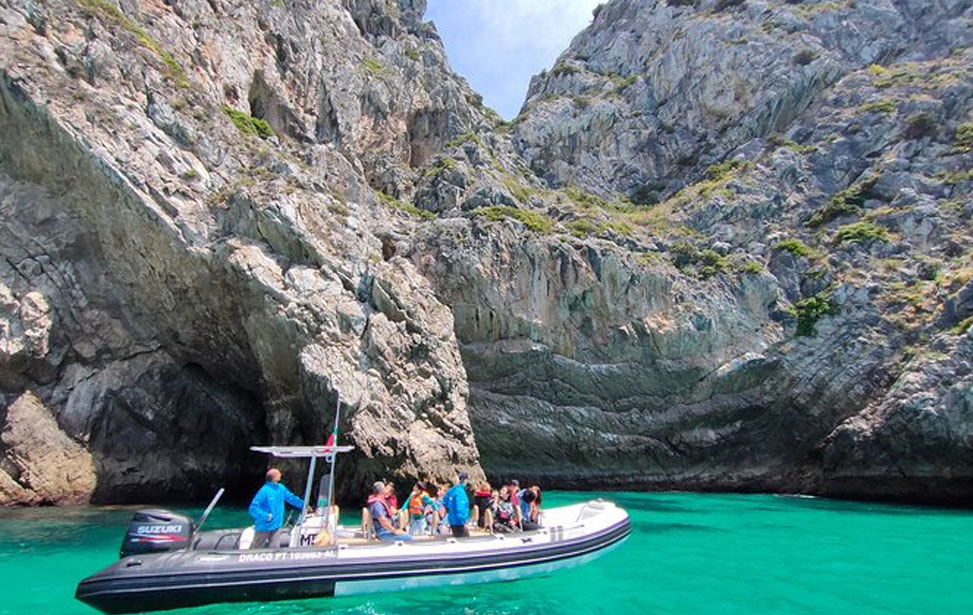 Dolphin Watching and Boat Tour in Sesimbra